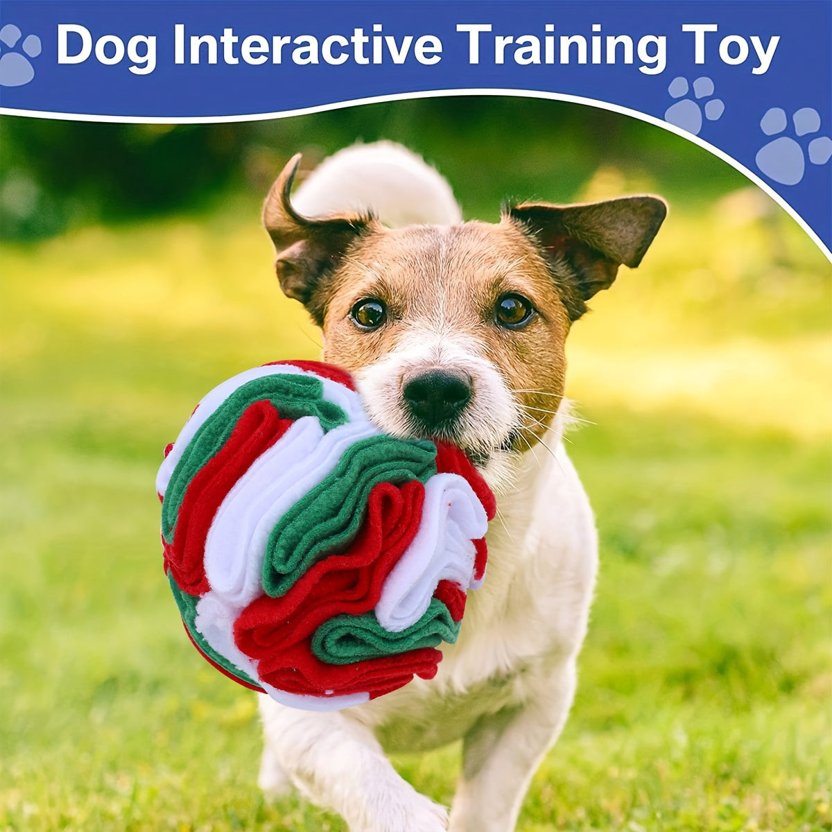 Interactive Snuffle Ball for Dogs