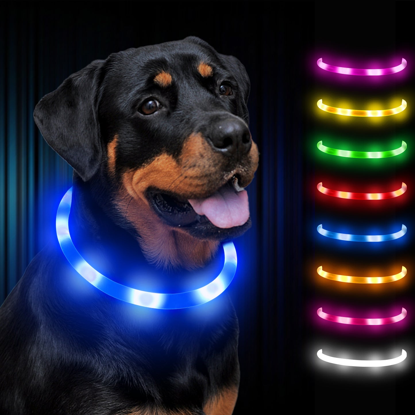 Joytale LED Pet Collar