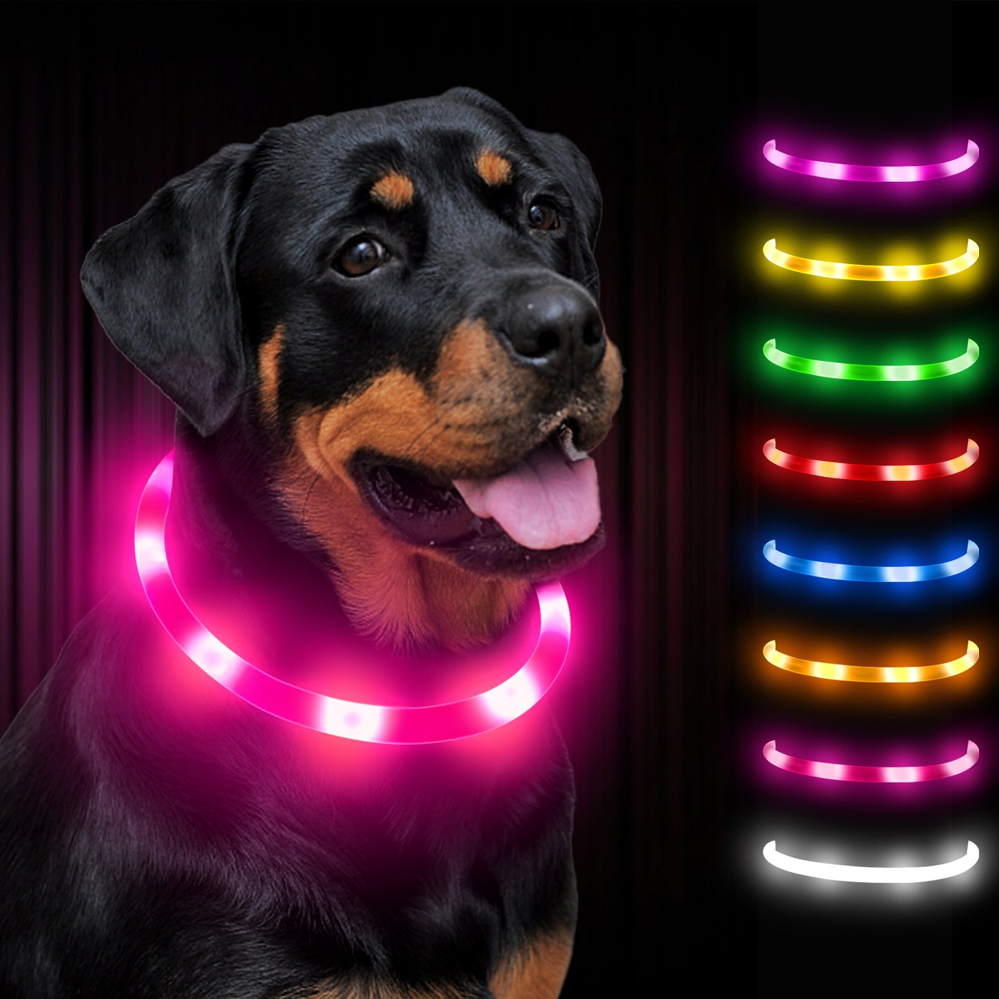 Joytale LED Pet Collar