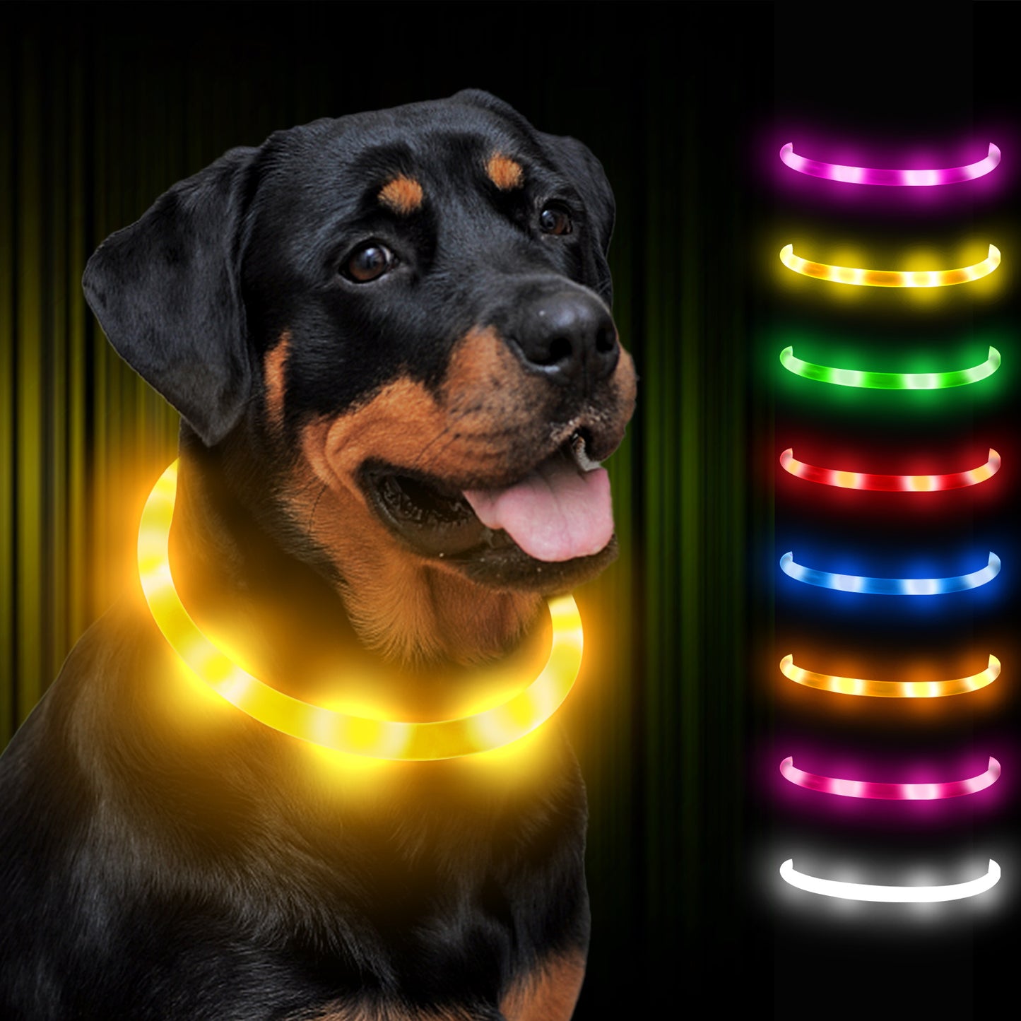 Joytale LED Pet Collar