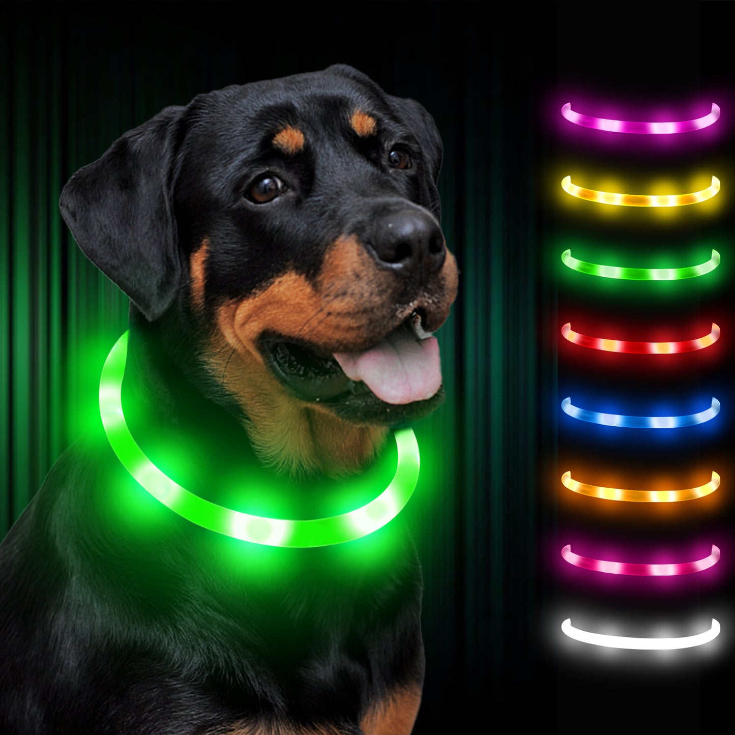 Joytale LED Pet Collar