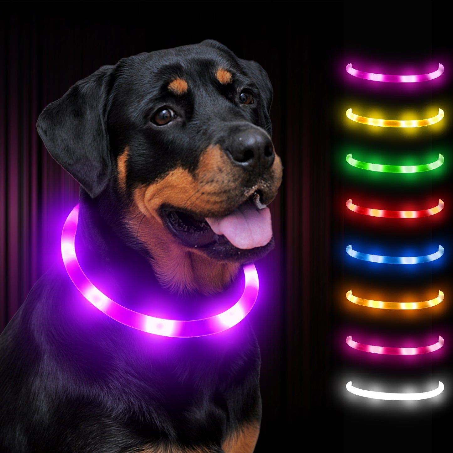 Joytale LED Pet Collar