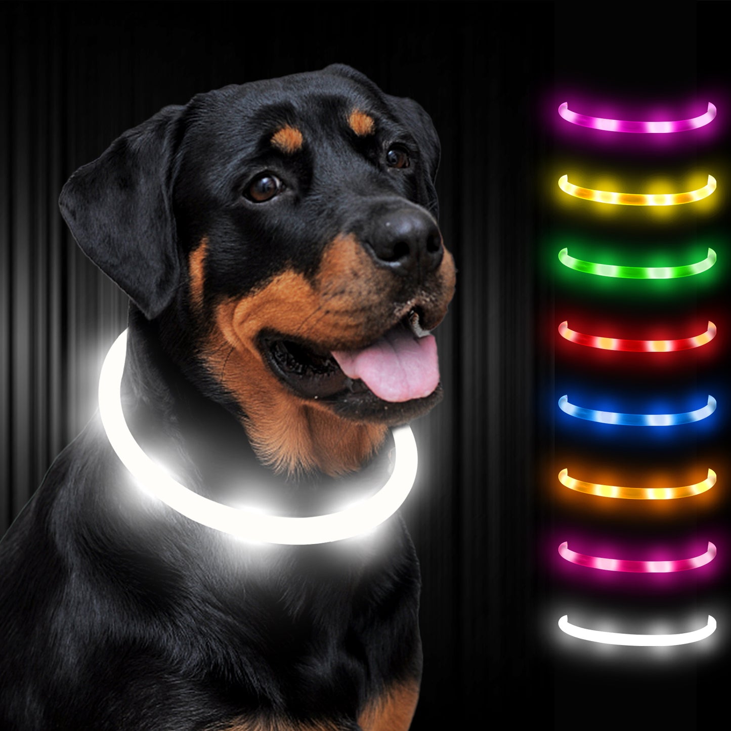 Joytale LED Pet Collar