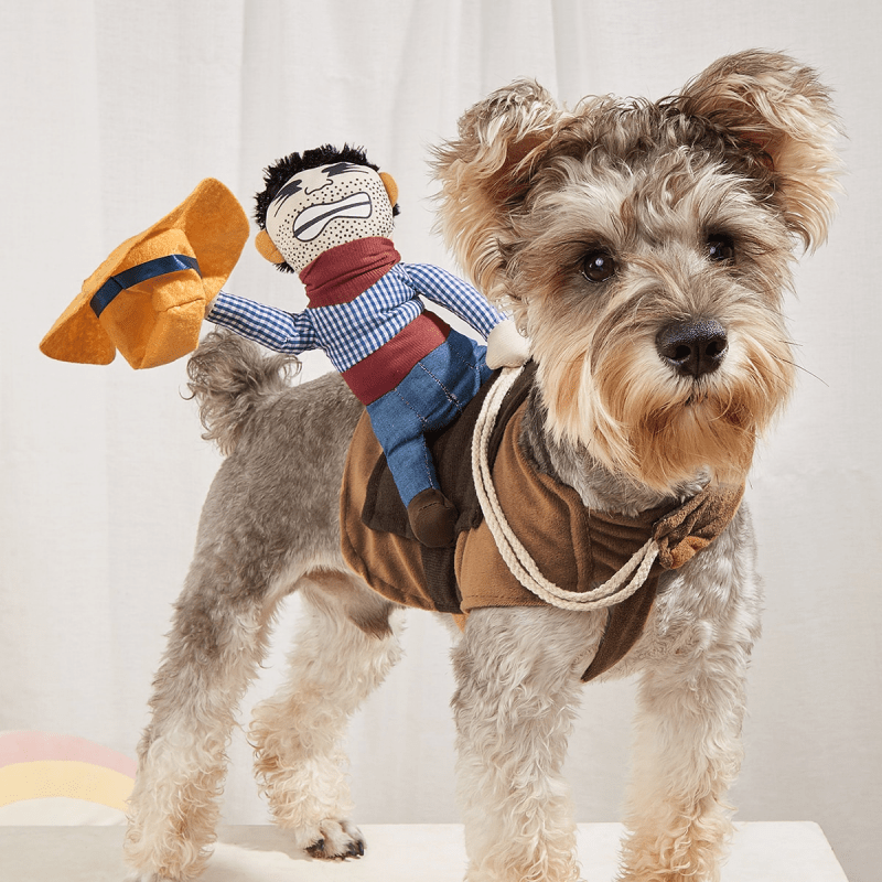 Funny Cowboy Rider Pet Costume