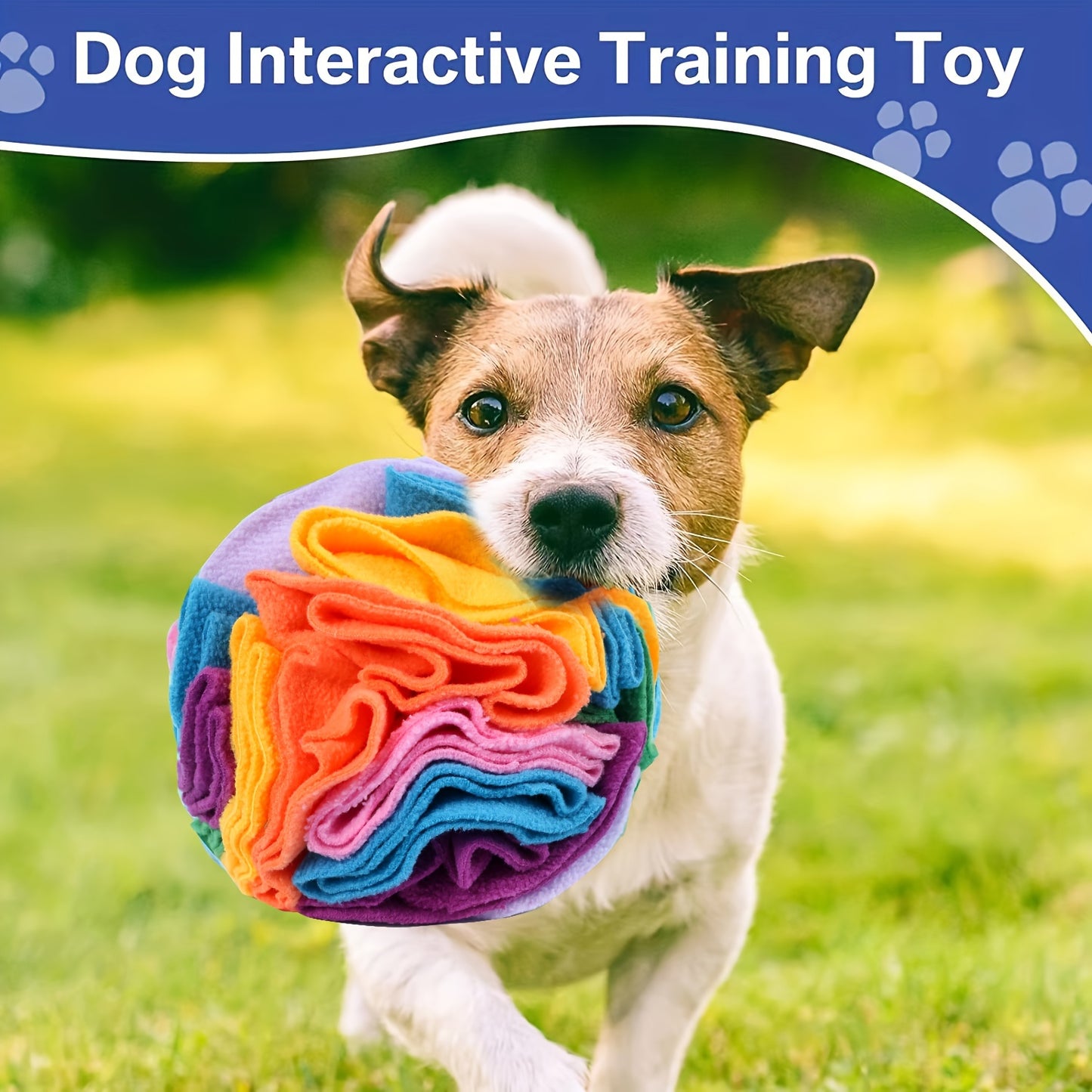 Interactive Snuffle Ball for Dogs