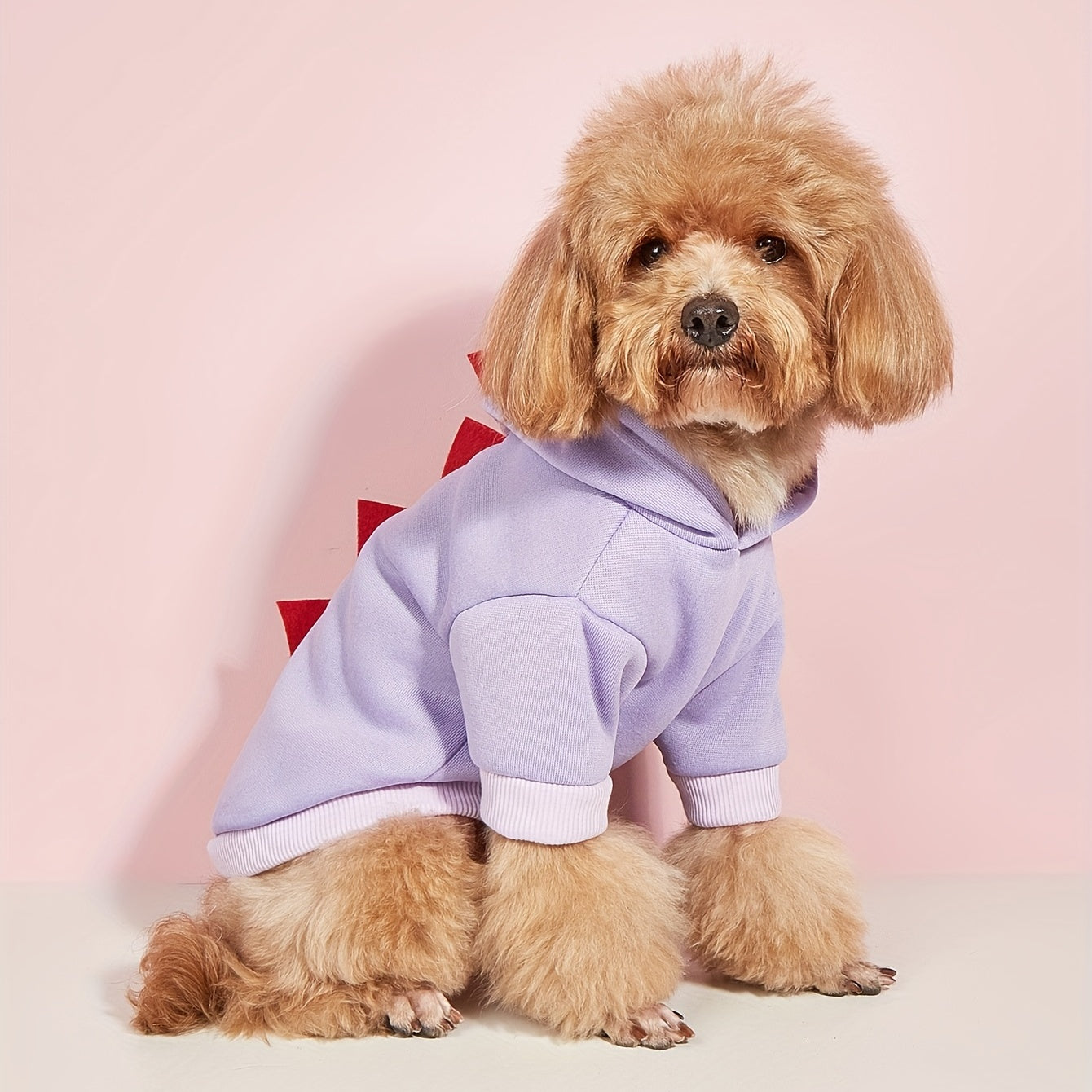 Adorable Dinosaur Cosplay Pet Hoodie