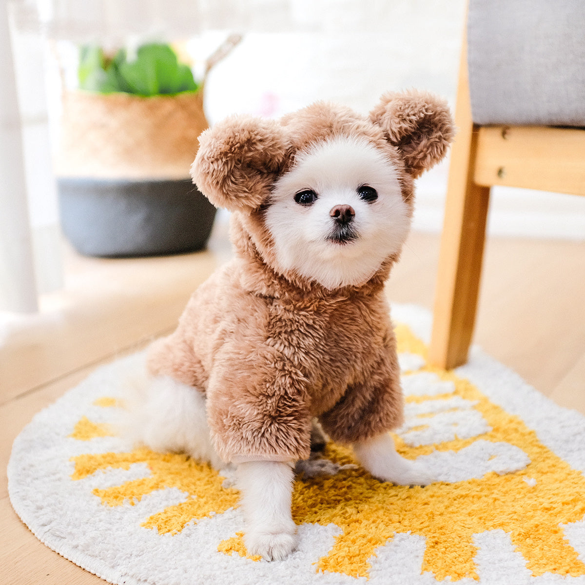 Dog & Cat Warm Teddy Bear Costume