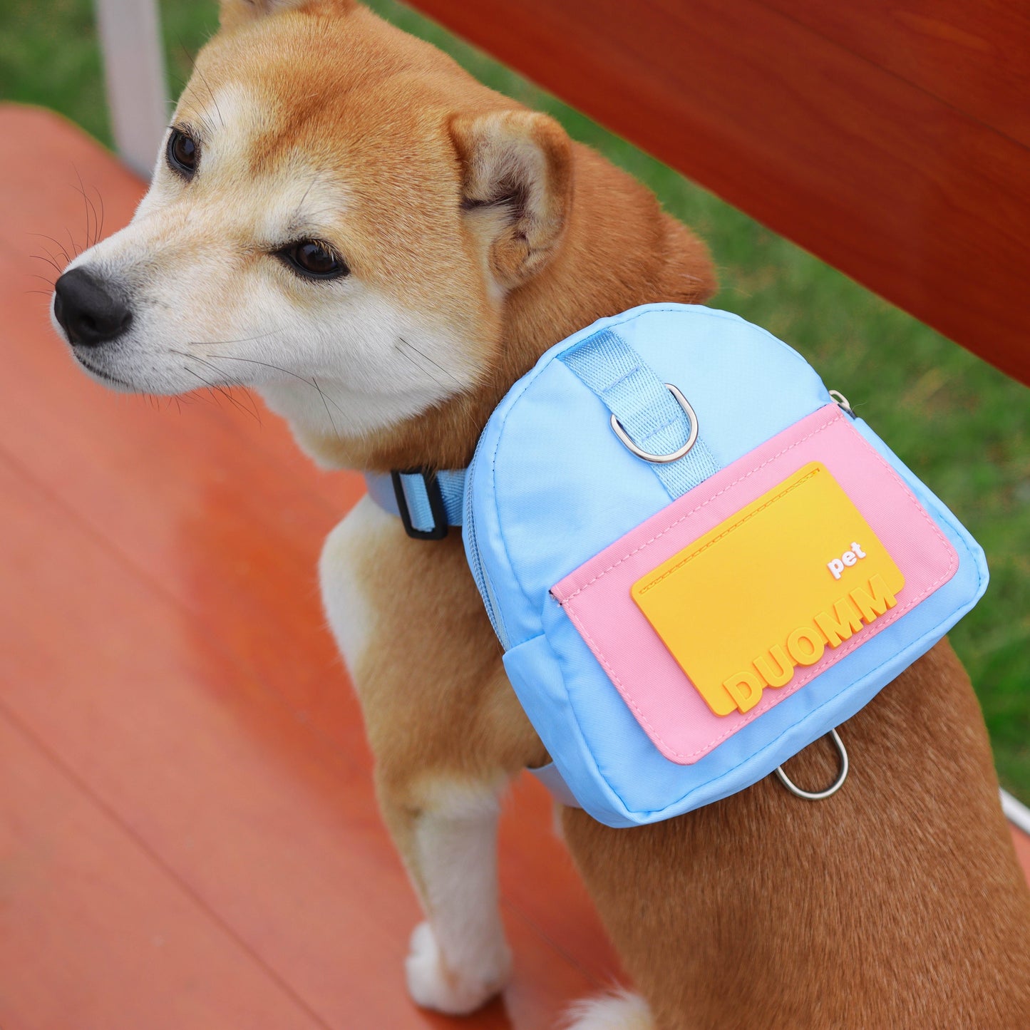 Colorful Pet Harness with Leash & Backpack