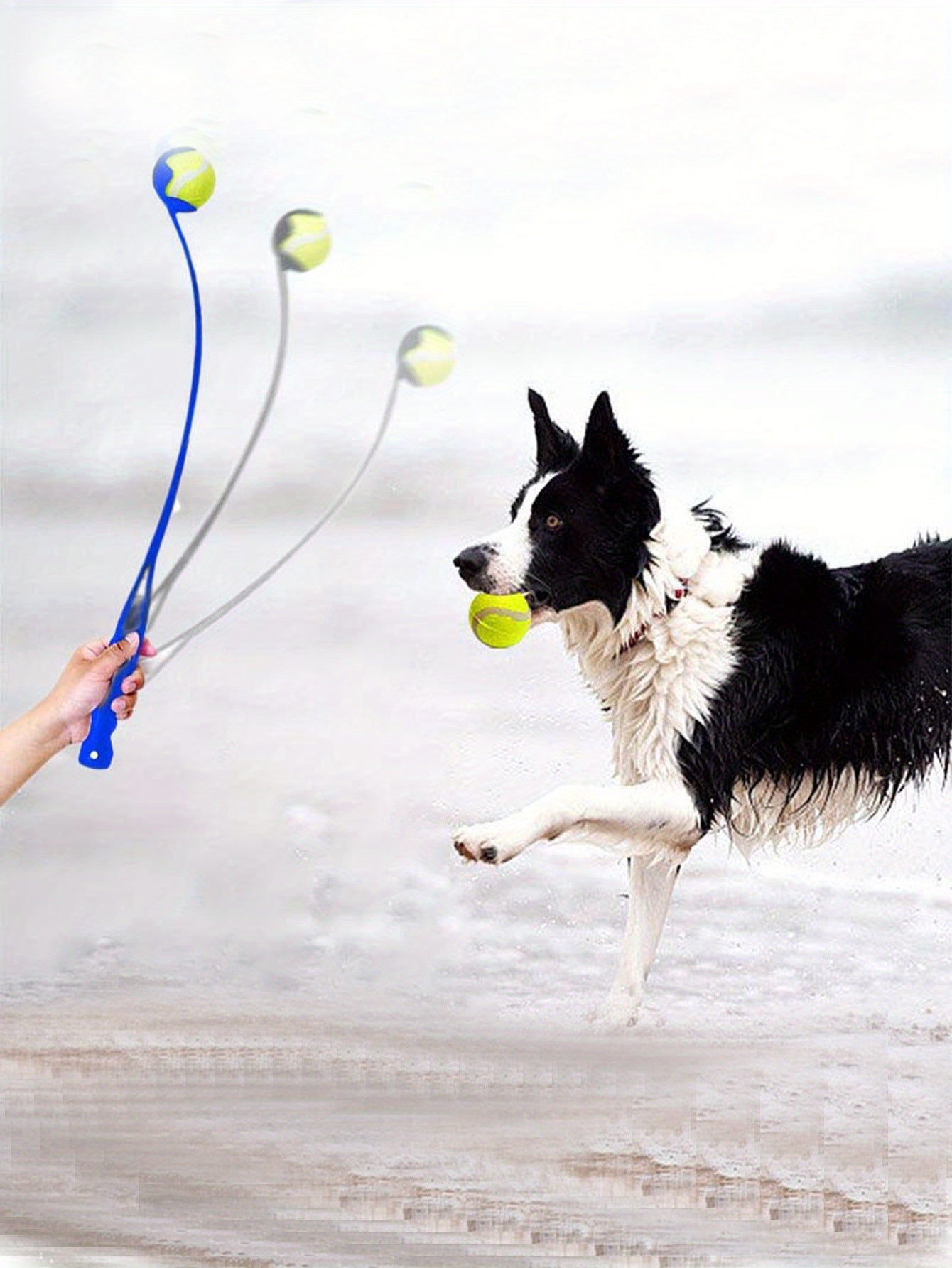 Interactive Fetch Toy Launcher For Dog