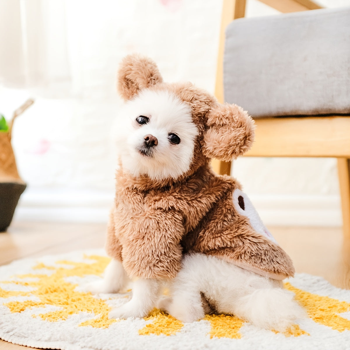 Dog & Cat Warm Teddy Bear Costume