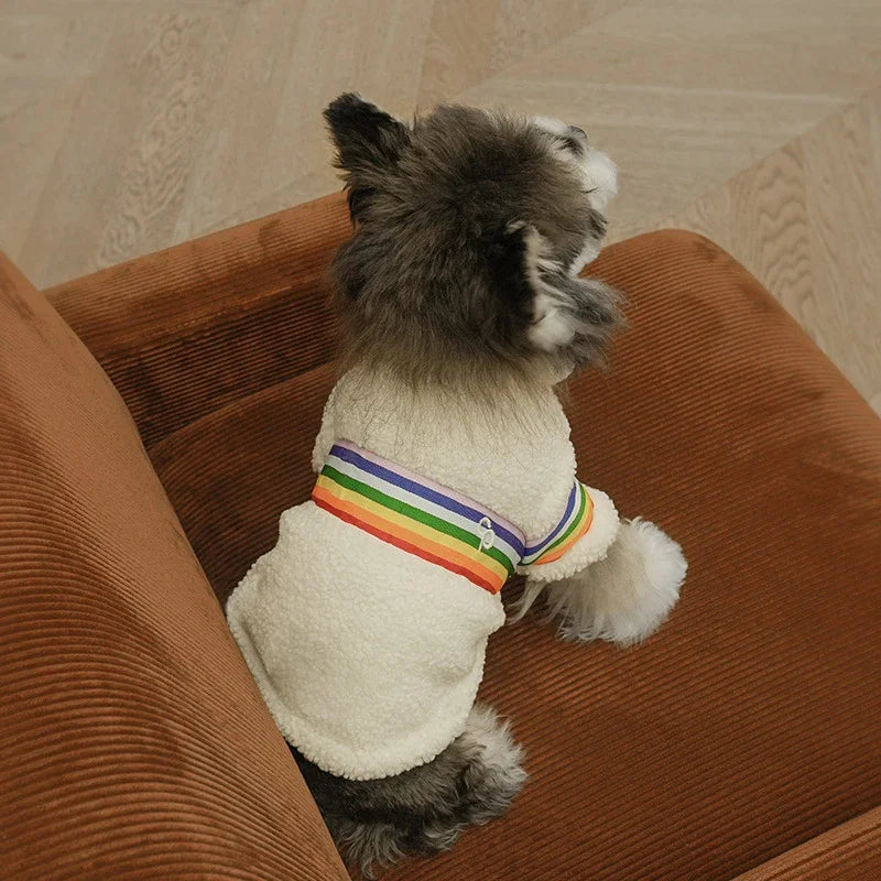 Rainbow Teddy pet clothes