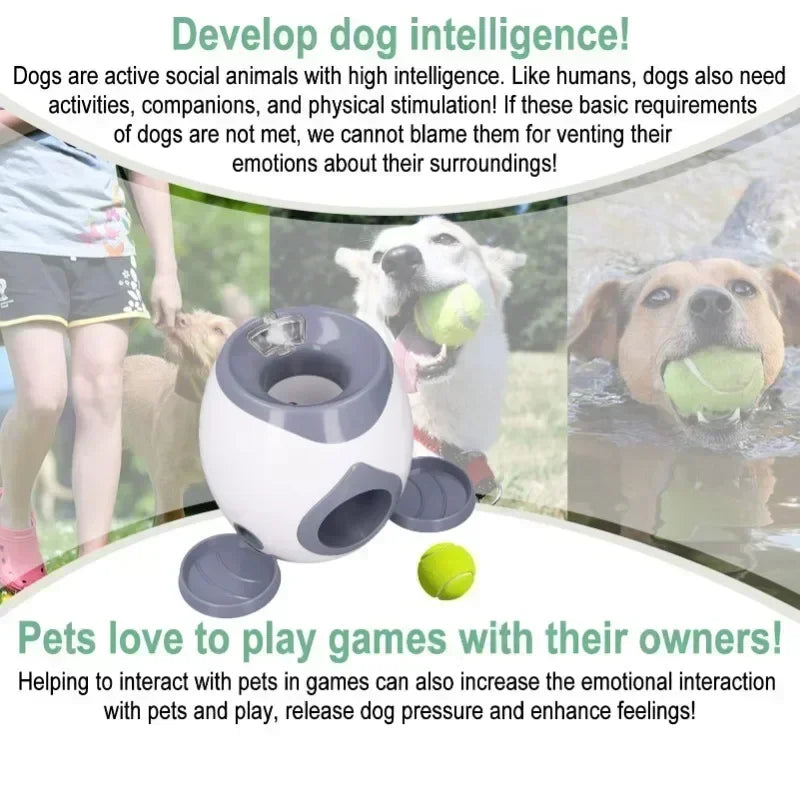 Smart Auto Ball Launcher for Dogs