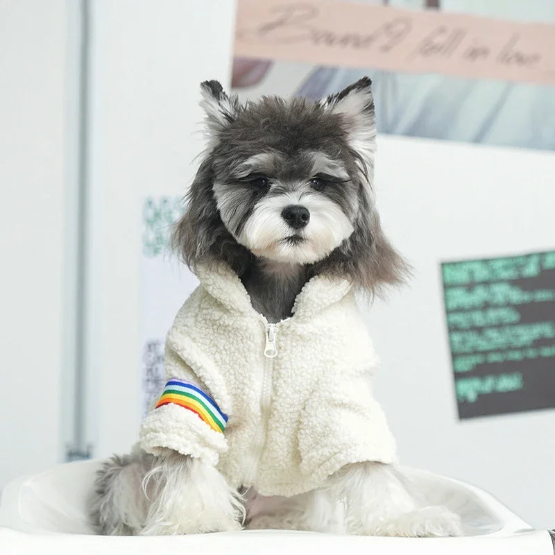 Rainbow Teddy pet clothes