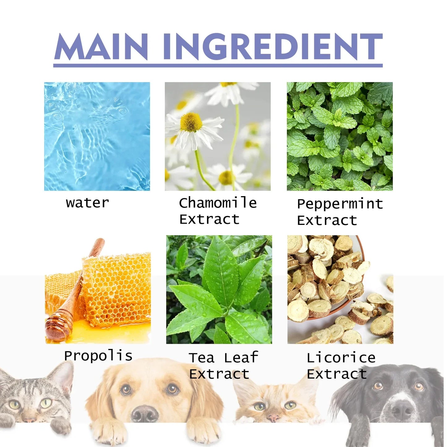 50ml Pet Oral Cleanse Spray For Dogs And Cats