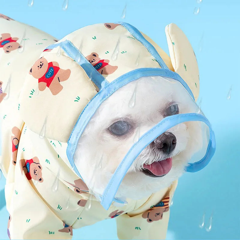 Full Print Teddy Cute Raincoat