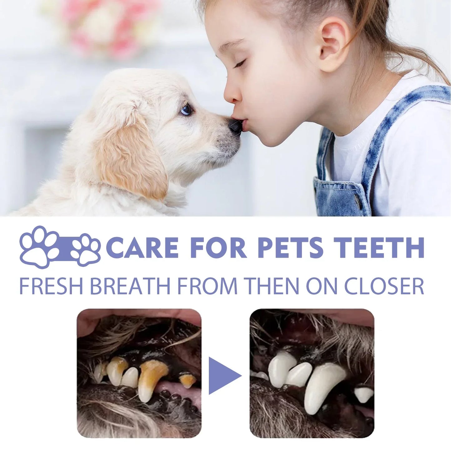 50ml Pet Oral Cleanse Spray For Dogs And Cats
