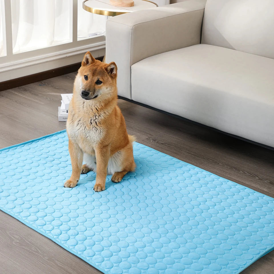 DualPet Dog Summer Cooling Pad