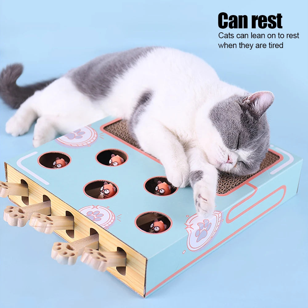 3-in-1 Cat Play Box: Interactive Maze, Gopher Game & Scratcher