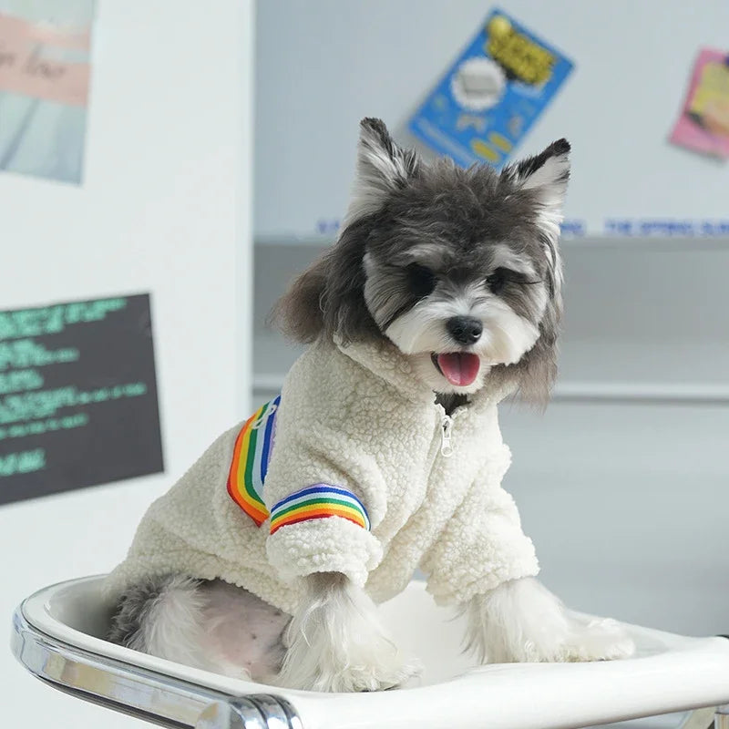 Rainbow Teddy pet clothes