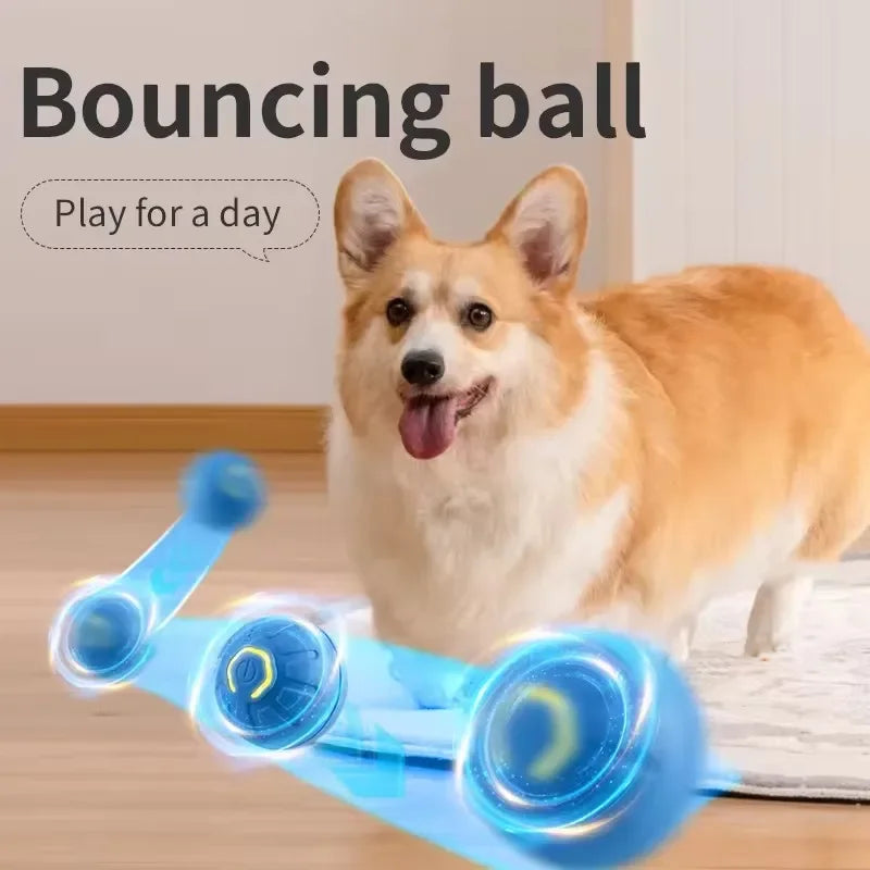 Electronic Interactive Pet Toy Ball