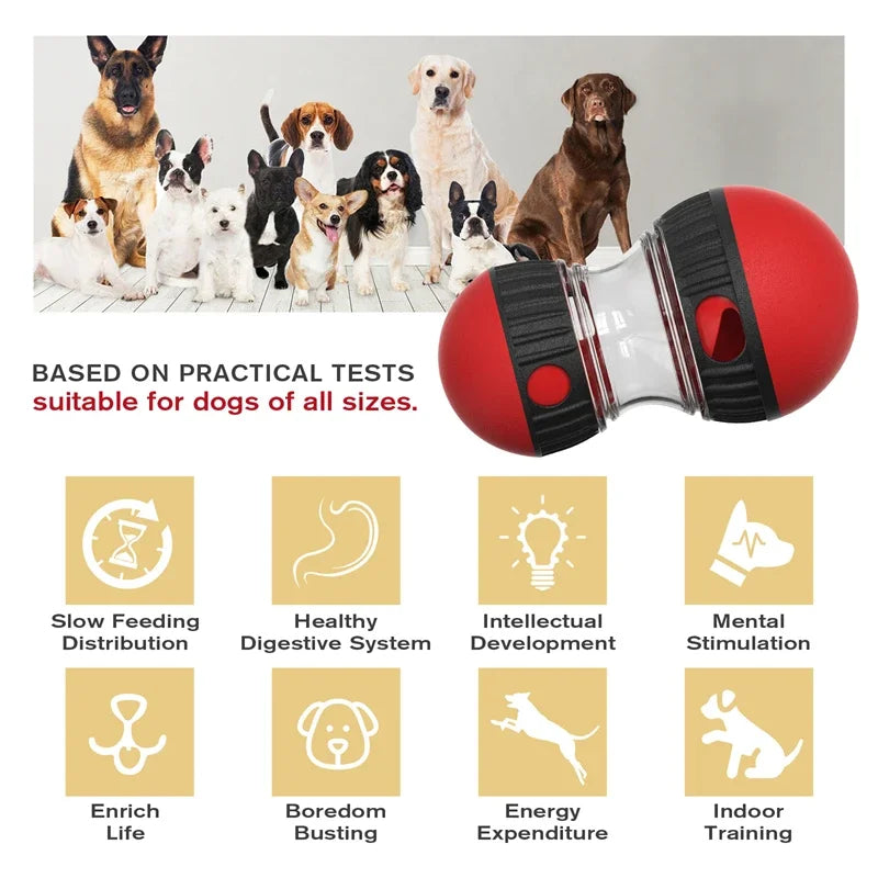 Elliptical Track Rolling Ball Toys