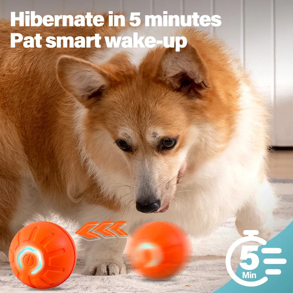Electronic Interactive Pet Toy Ball