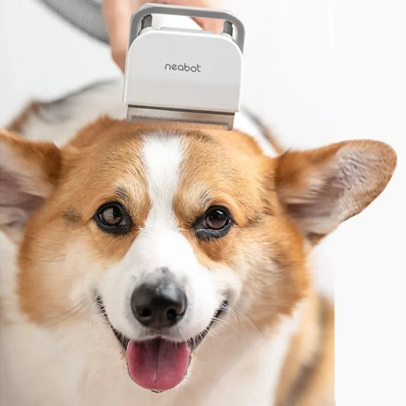 All-in-One Pet Grooming & Hair Trimmer