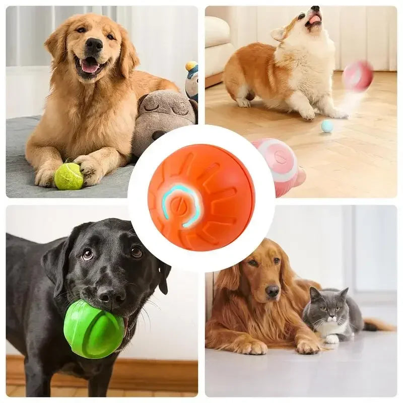 Electronic Interactive Pet Toy Ball