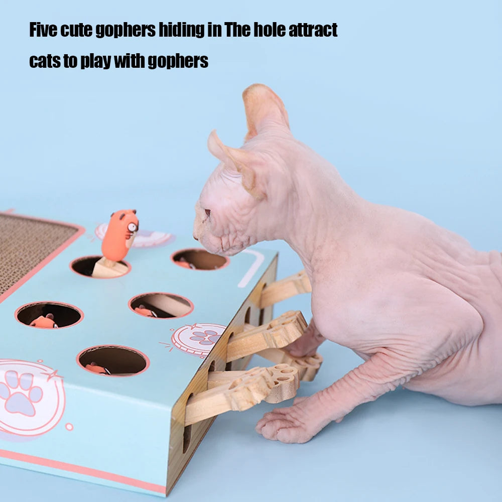 3-in-1 Cat Play Box: Interactive Maze, Gopher Game & Scratcher