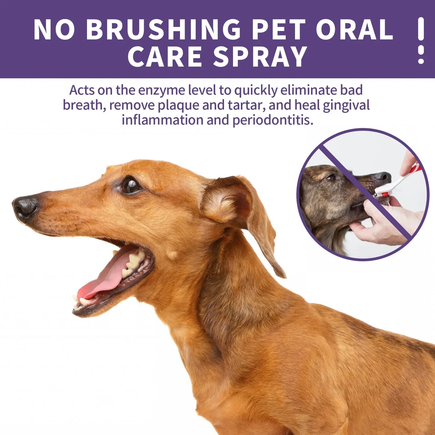 50ml Pet Oral Cleanse Spray For Dogs And Cats