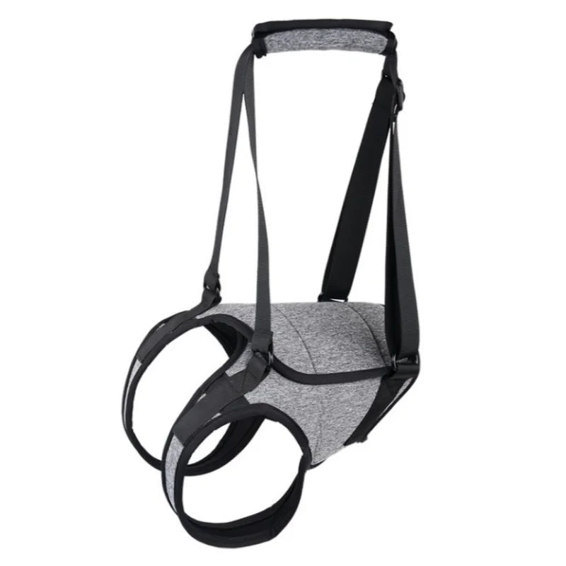 Dog Hind Leg Support Strap