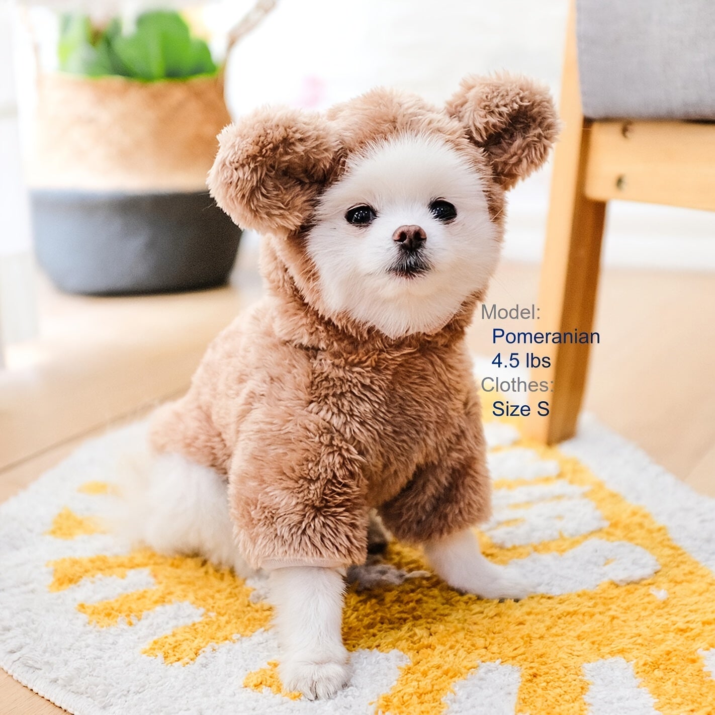 Dog & Cat Warm Teddy Bear Costume