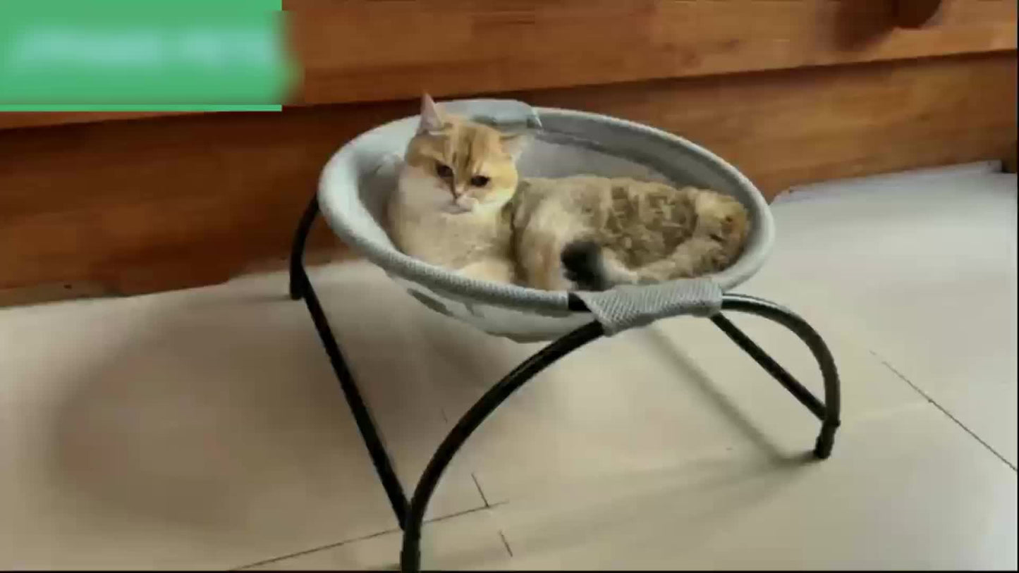 Cooling Comfort Cat Hammock