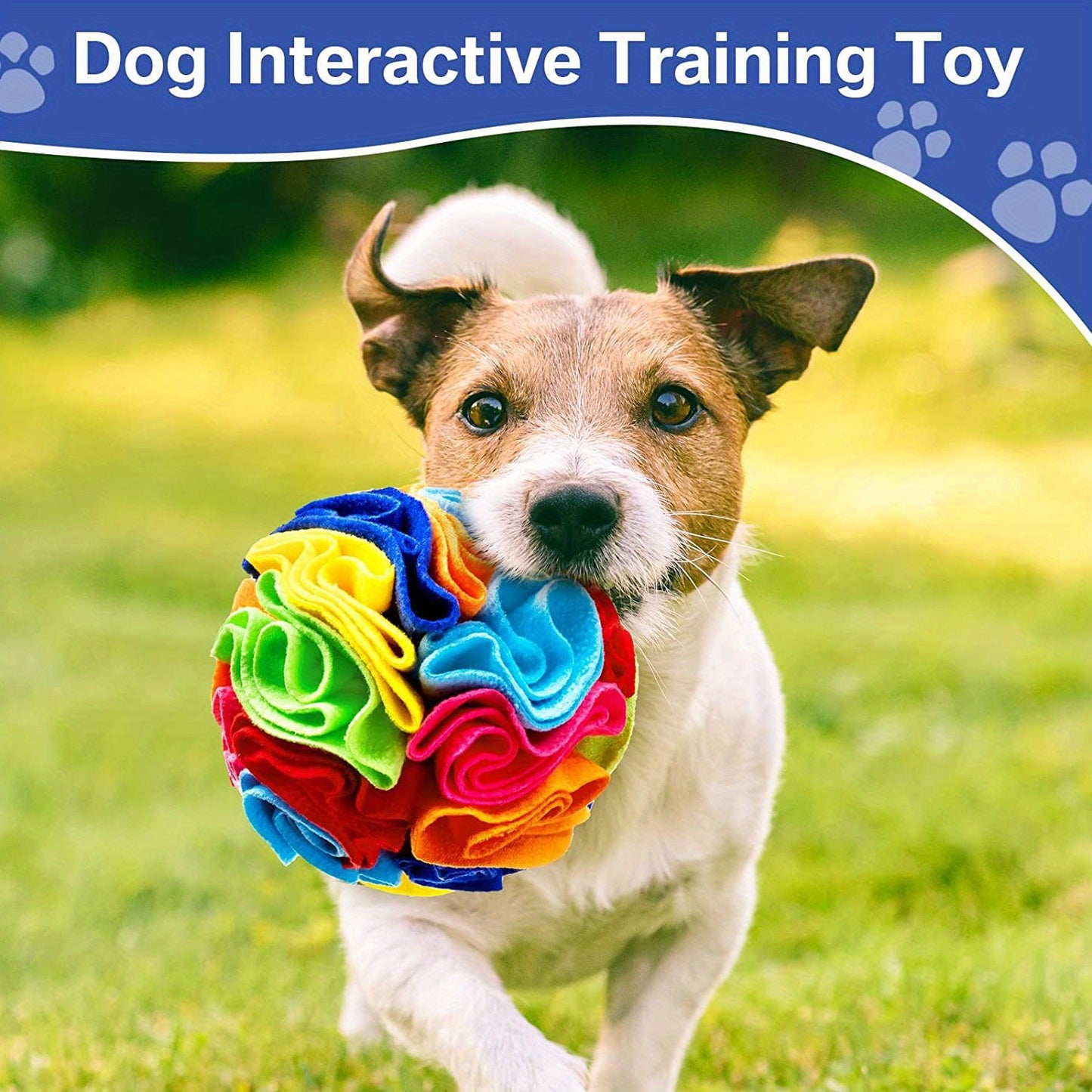 Interactive Snuffle Ball for Dogs