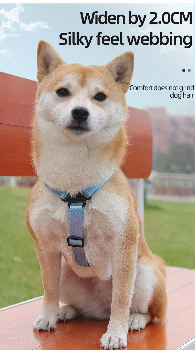 Colorful Pet Harness with Leash & Backpack