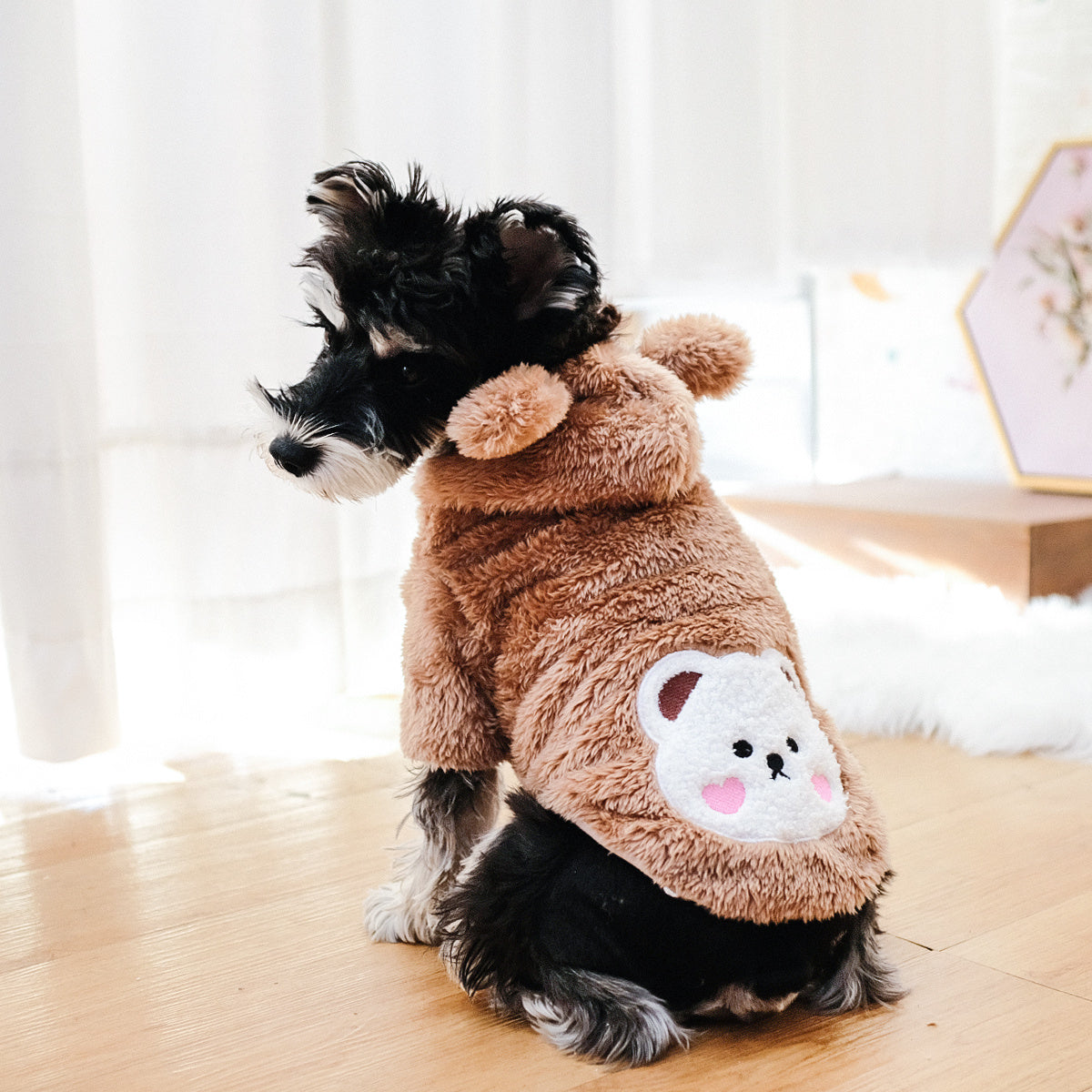 Dog & Cat Warm Teddy Bear Costume