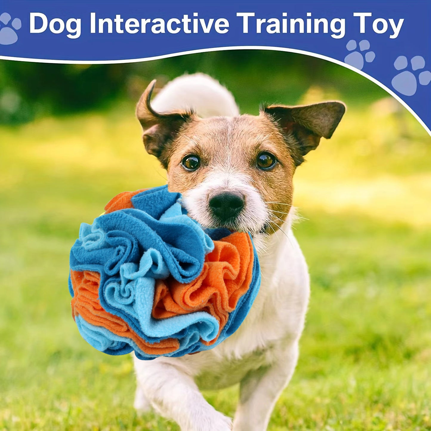 Interactive Snuffle Ball for Dogs