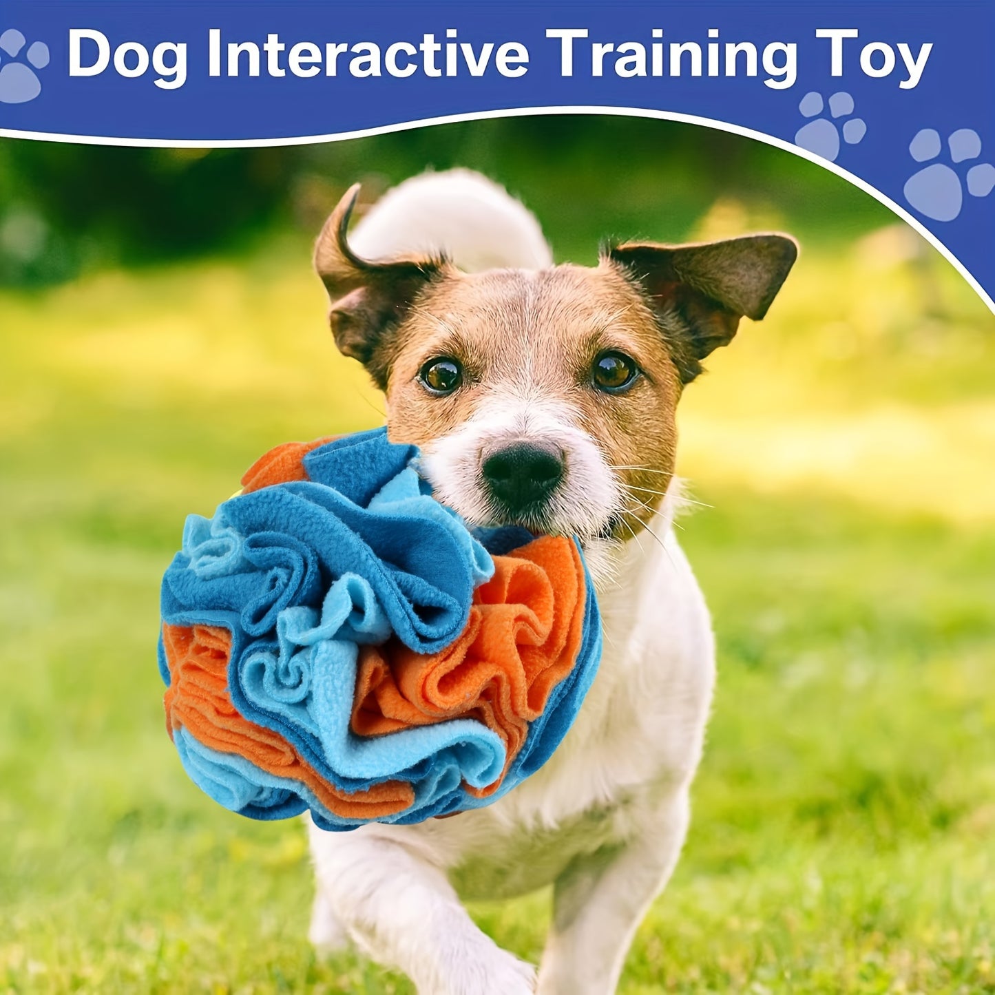 Interactive Snuffle Ball for Dogs