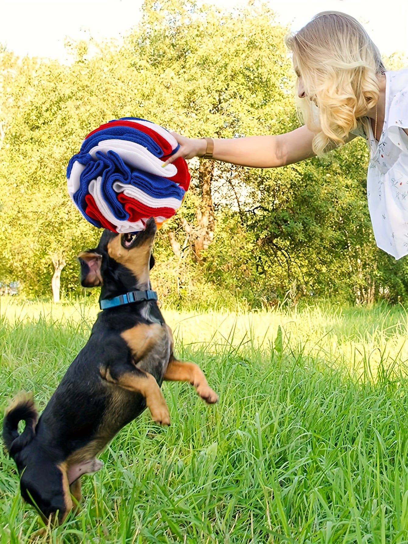 Interactive Snuffle Ball for Dogs