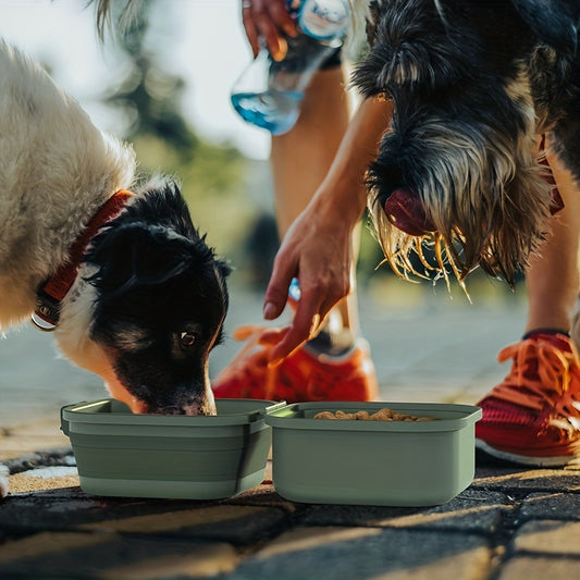 Dog Food Bowl For Outdoor Walking Pet