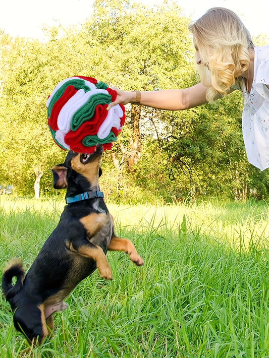 Interactive Snuffle Ball for Dogs