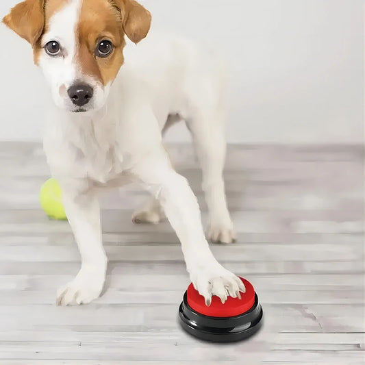Recordable Dog Talking Button Toy – Train & Communicate!