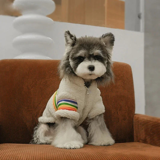 Rainbow Teddy pet clothes
