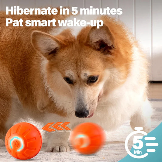 Electronic Interactive  Pet Toy Ball