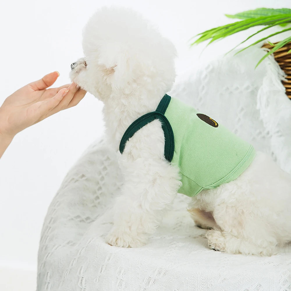 Avocado Costume ﻿For Dog