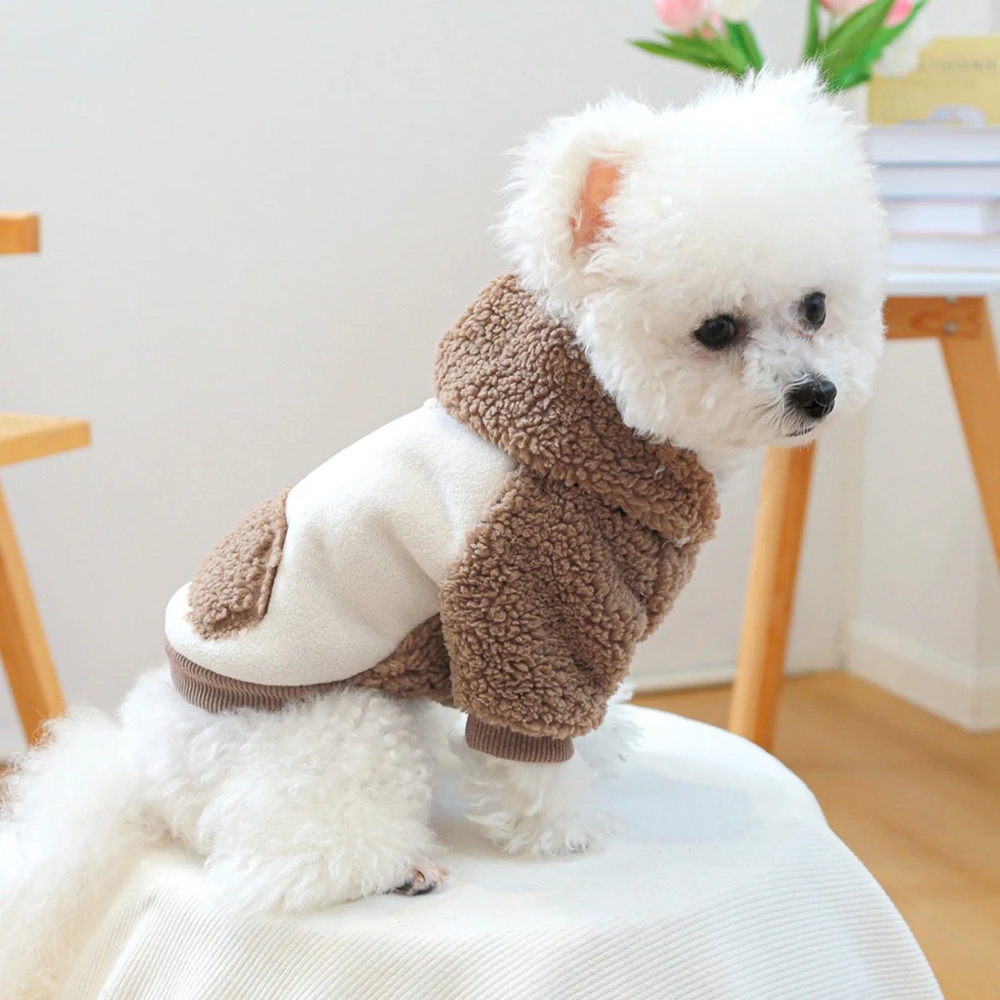Cute Hoodie Sweater Coat Costumes