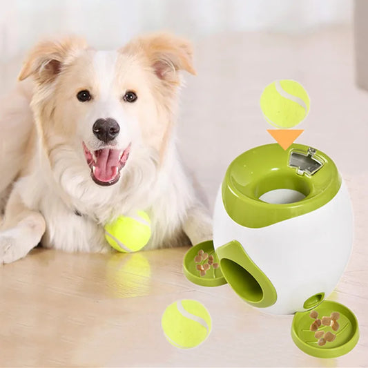 Dog tennis machine for self fun toy