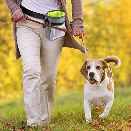 Outdoor Dog Snack Bag for Training & Walks