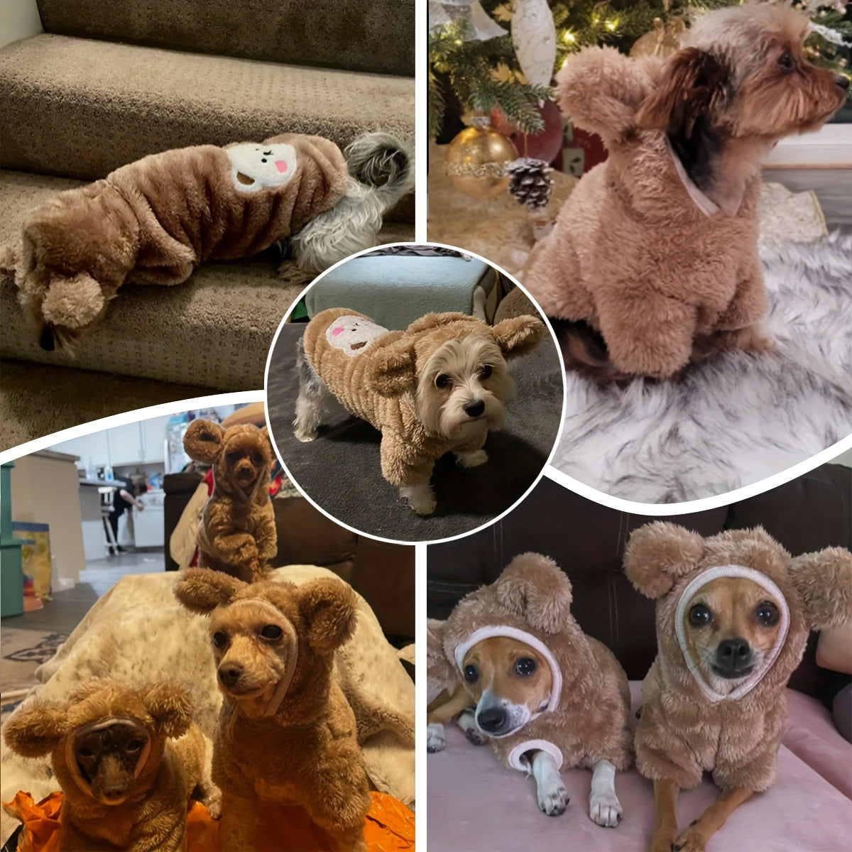 Dog & Cat Warm Teddy Bear Costume